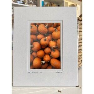 Original Photography 5X7 Picture Double Matted For 8X10 Frame